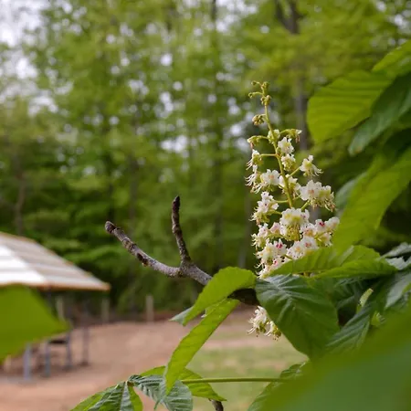 דירה Brusnica Konaci *